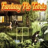 Fantasy Pic Tetriz